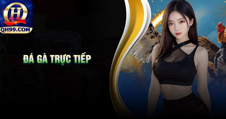 Ưu điểm nổi bật của đá gà trực tiếp QH99