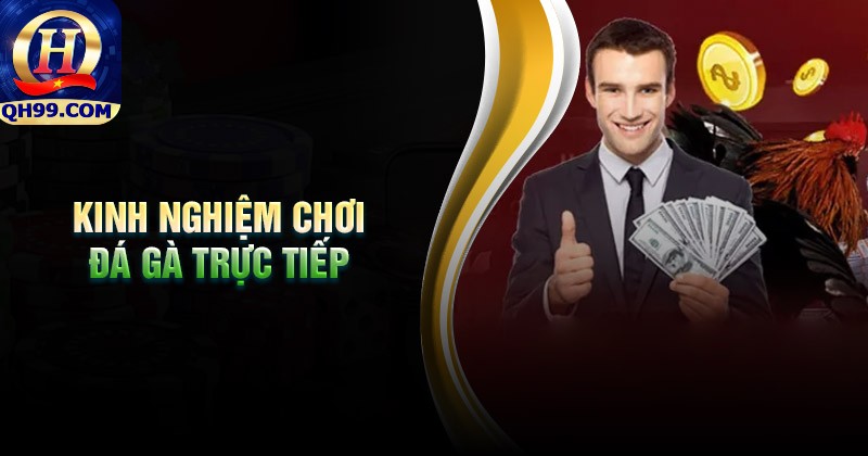 Kinh nghiệm chơi đá gà trực tiếp qh99 luôn thắng Kinh nghiệm chơi đá gà trực tiếp qh99 luôn thắng