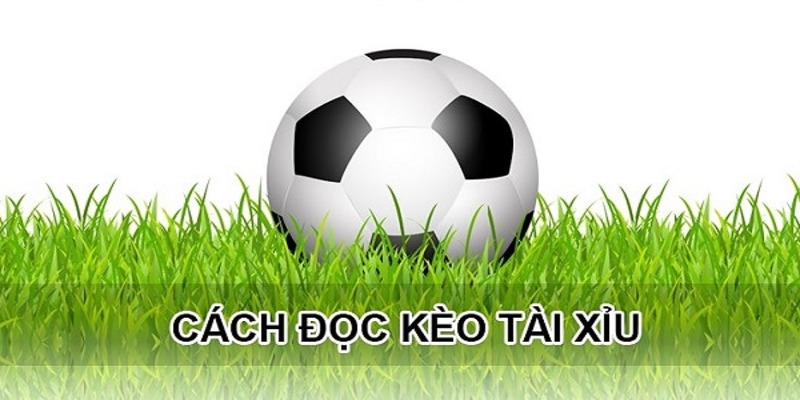 Bạn đã biết cách đọc kèo tài xỉu là gì chưa? Bạn đã biết cách đọc kèo tài xỉu là gì chưa?