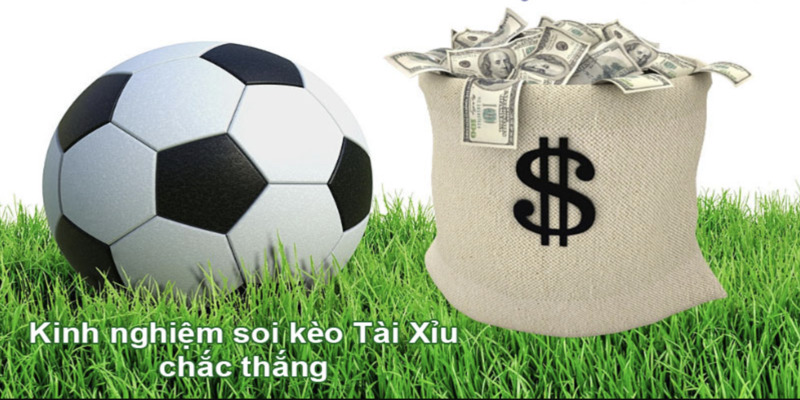 QH99 Chia sẻ kinh nghiệm đặt cược kèo tài xỉu QH99 Chia sẻ kinh nghiệm đặt cược kèo tài xỉu